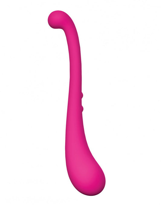 Swan - The Trumpeter Swan - The Trumpeter - UABDSM