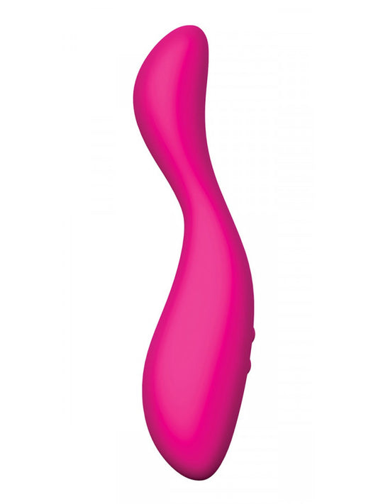 Swan - The Tundra Swan - The Tundra - UABDSM