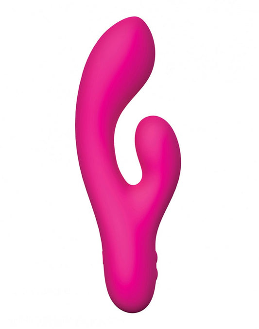 Swan - The Whooper Swan - The Whooper - UABDSM