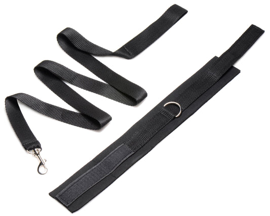 Frisky 46 Inch Leash and Collar Set - UABDSM