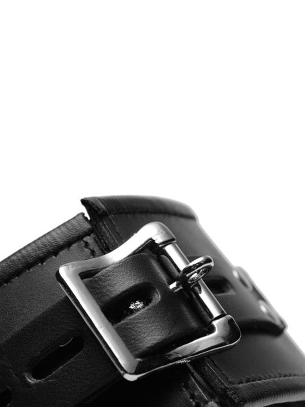 Padded Leather Locking Posture Collar - UABDSM