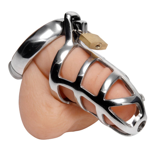 Chastity cages