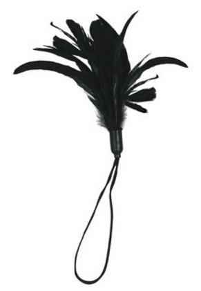 Sportsheets Pleasure Feather - Black - UABDSM