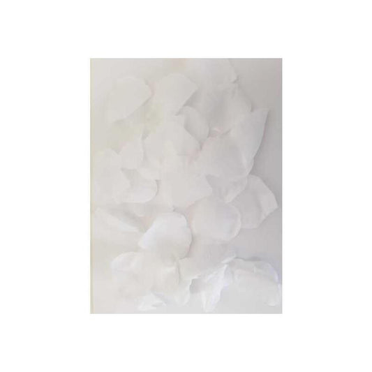100 Petals White - UABDSM
