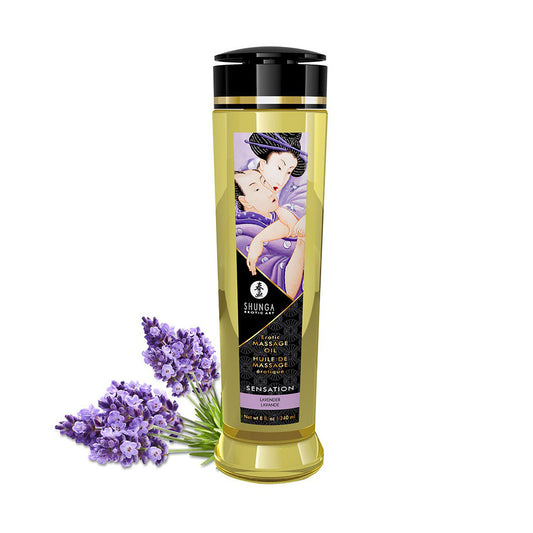 Shunga Massage Oil Sensation Lavender 240ml - UABDSM