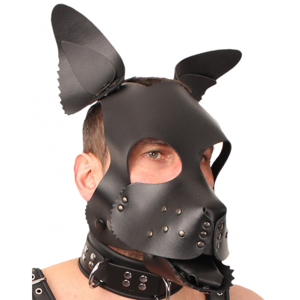 The Red Leather Puppy Dog Mask - UABDSM