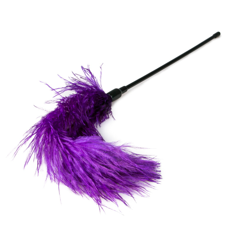 Purple Feather Tickler - UABDSM
