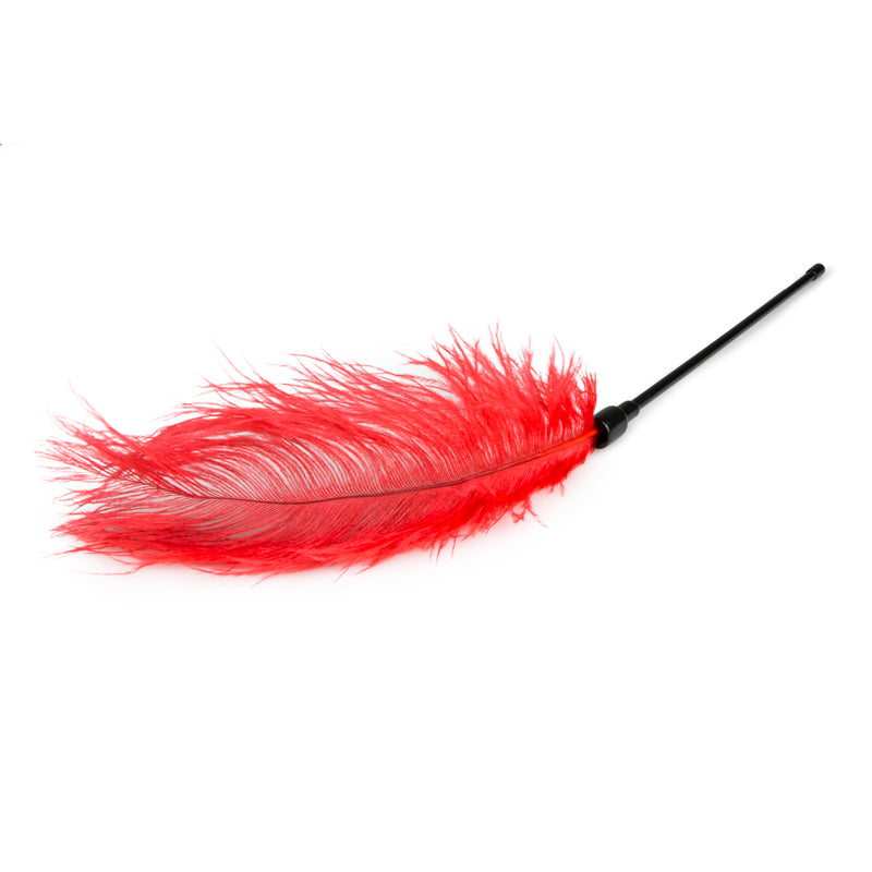 Red Feather Tickler - UABDSM