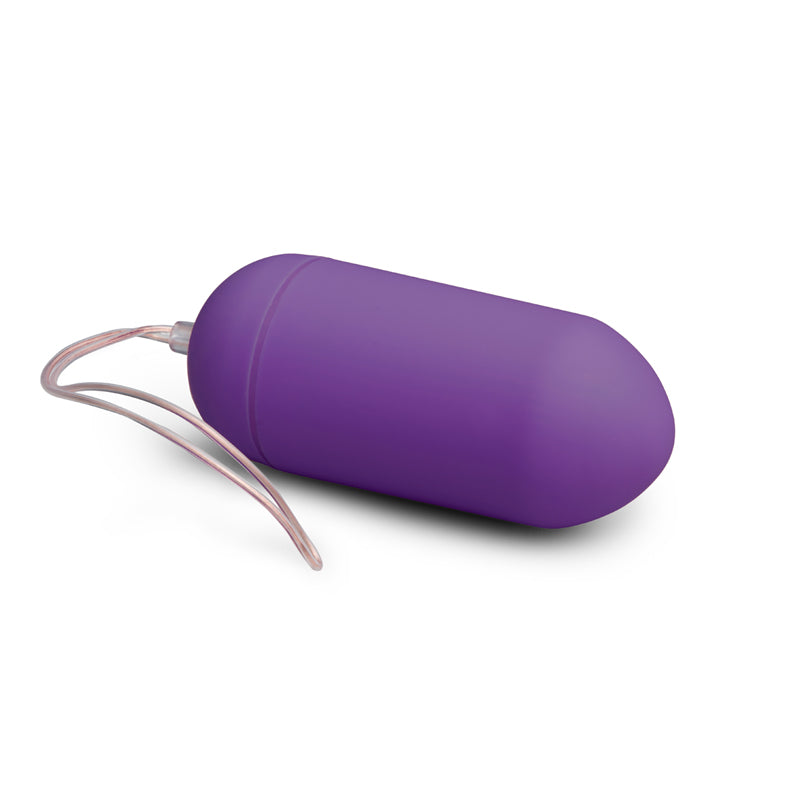 Remote Controllable Vibrating Egg - Purple - UABDSM