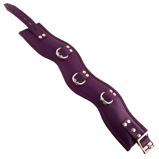 Rouge Garments Purple Padded Posture Collar - UABDSM