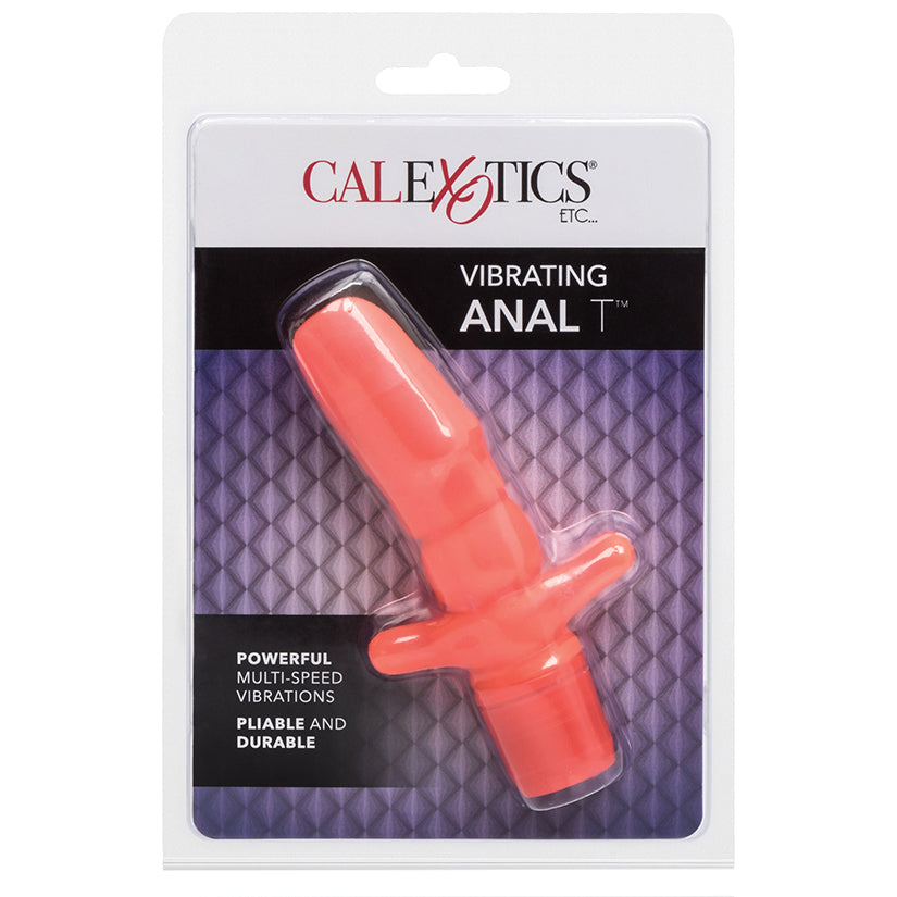 Vibrating Anal T - UABDSM