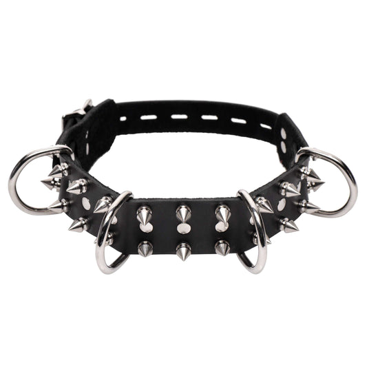 Strict Leather Spiked Dog Collar - UABDSM