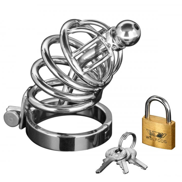 Master Series Asylum 4 Ring Locking Chastity Cage - UABDSM