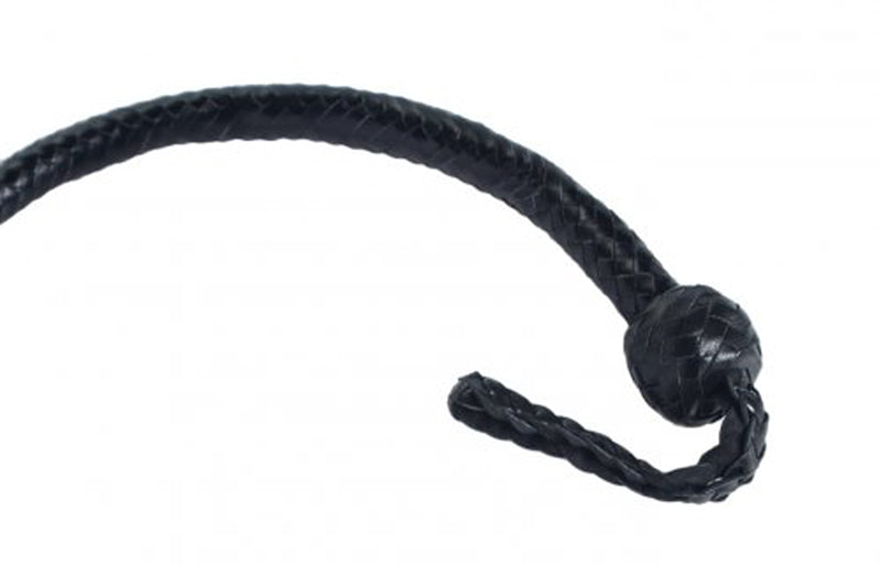 3 Foot Snakewhip 12 Plait - Black - UABDSM