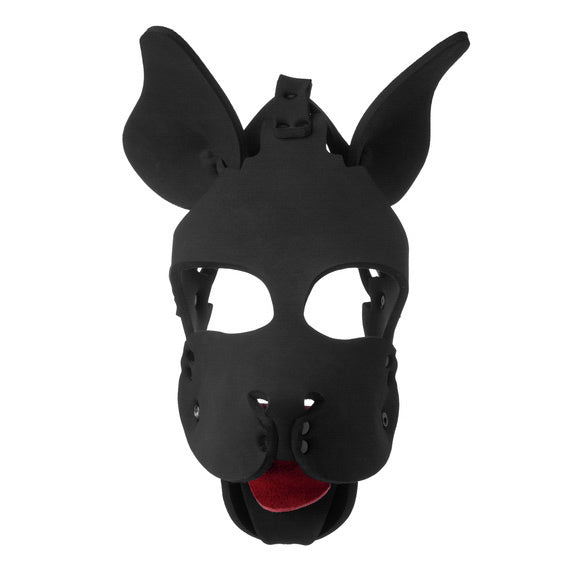 Neoprene Dog Hood with Removable Muzzle - UABDSM