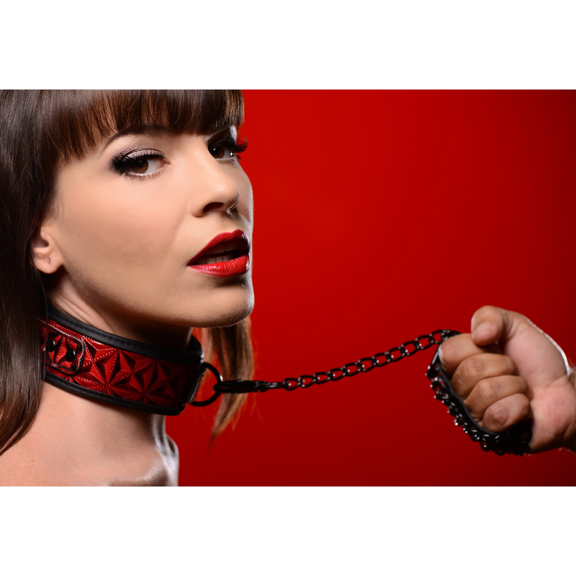 Crimson Tied Collar with Leash - UABDSM