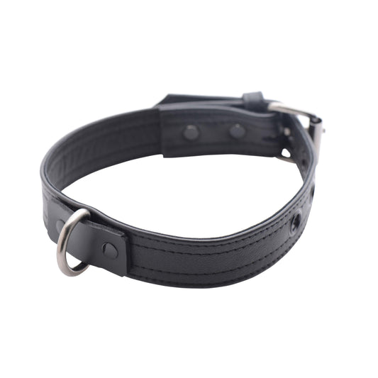 Strict Leather Luxury Locking Collar - UABDSM