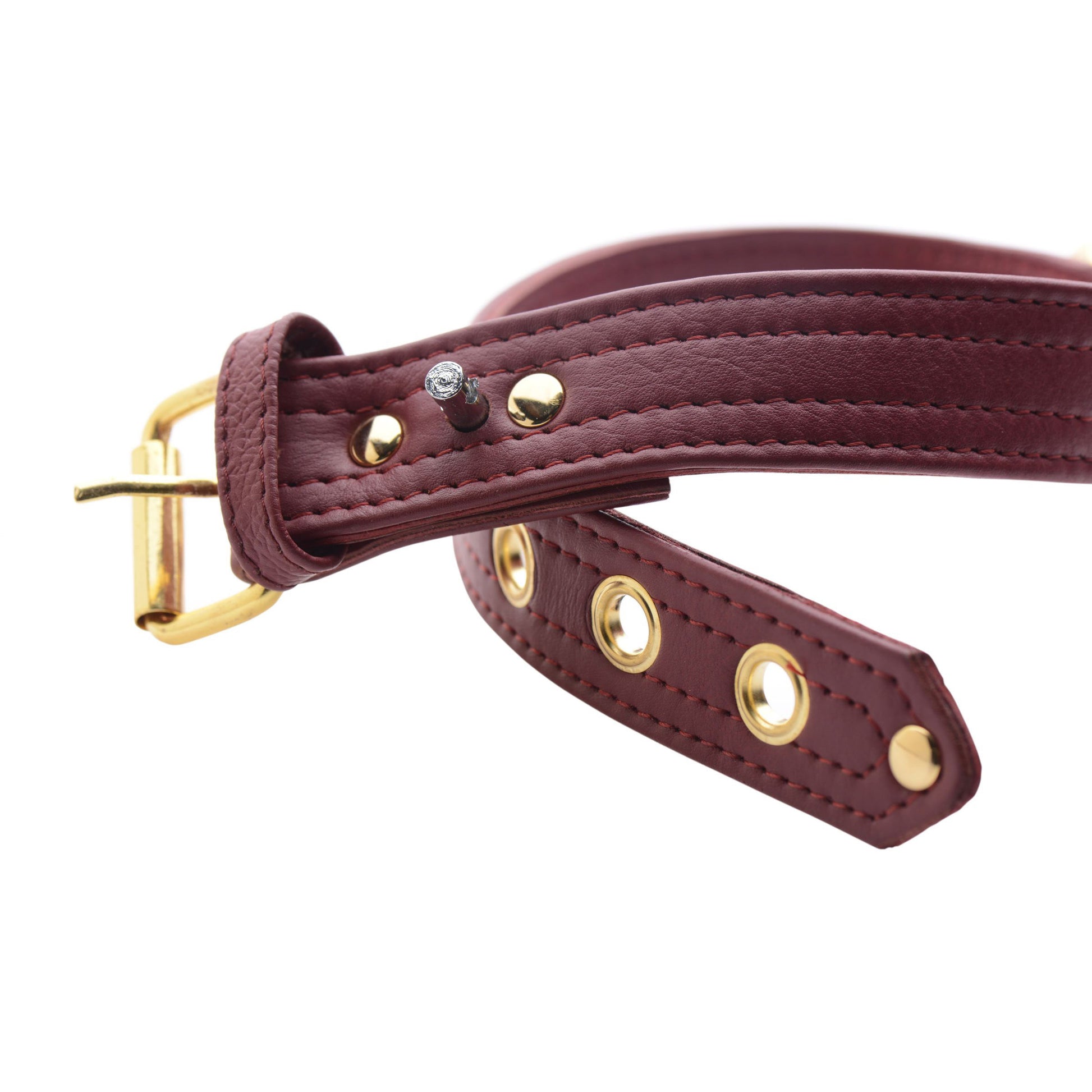 Strict Leather Luxury Burgundy Locking Collar - UABDSM