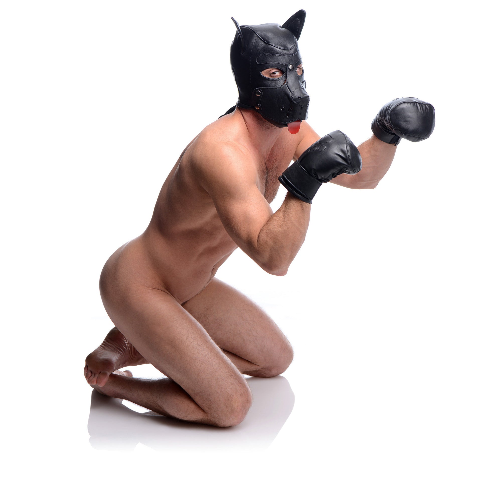 Strict Leather Padded Puppy Mitts - UABDSM