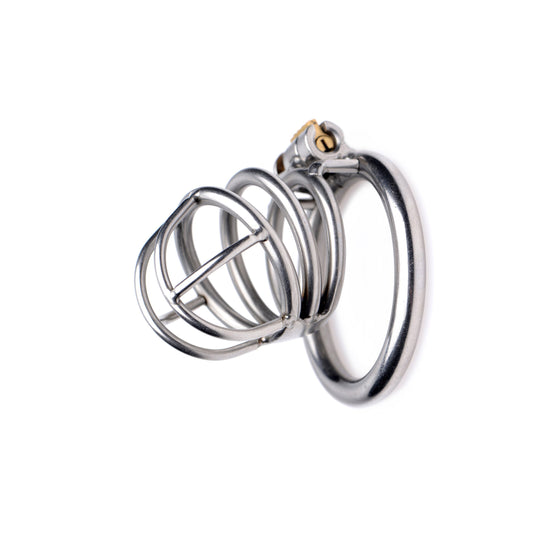 The Pen Deluxe Stainless Steel Locking Chastity Cage - UABDSM
