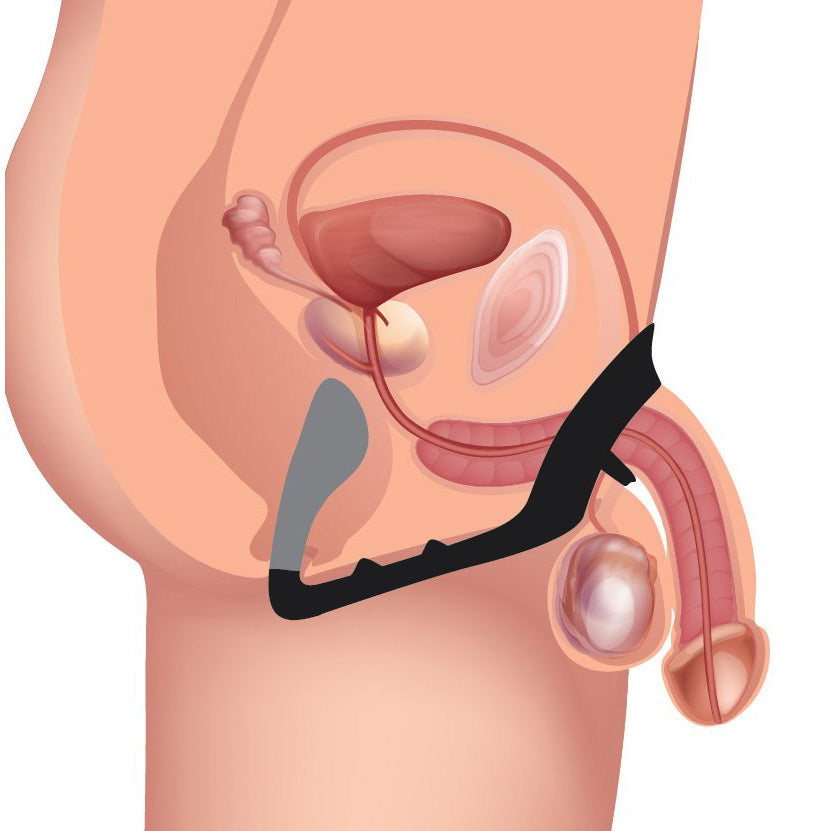 Excursion Silicone Triple Stim Anal Plug with Cock and Ball Ring - UABDSM