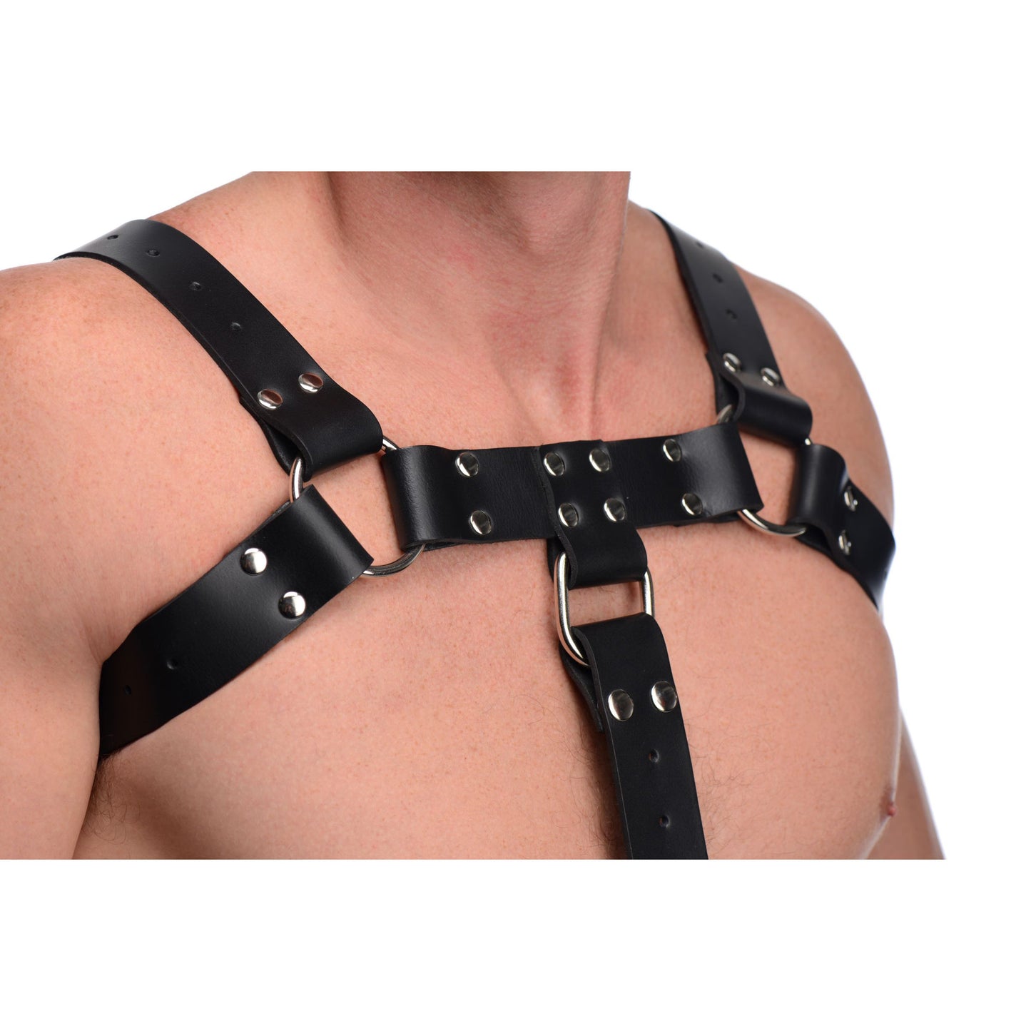 English Bull Dog Harness with Cock Strap - UABDSM