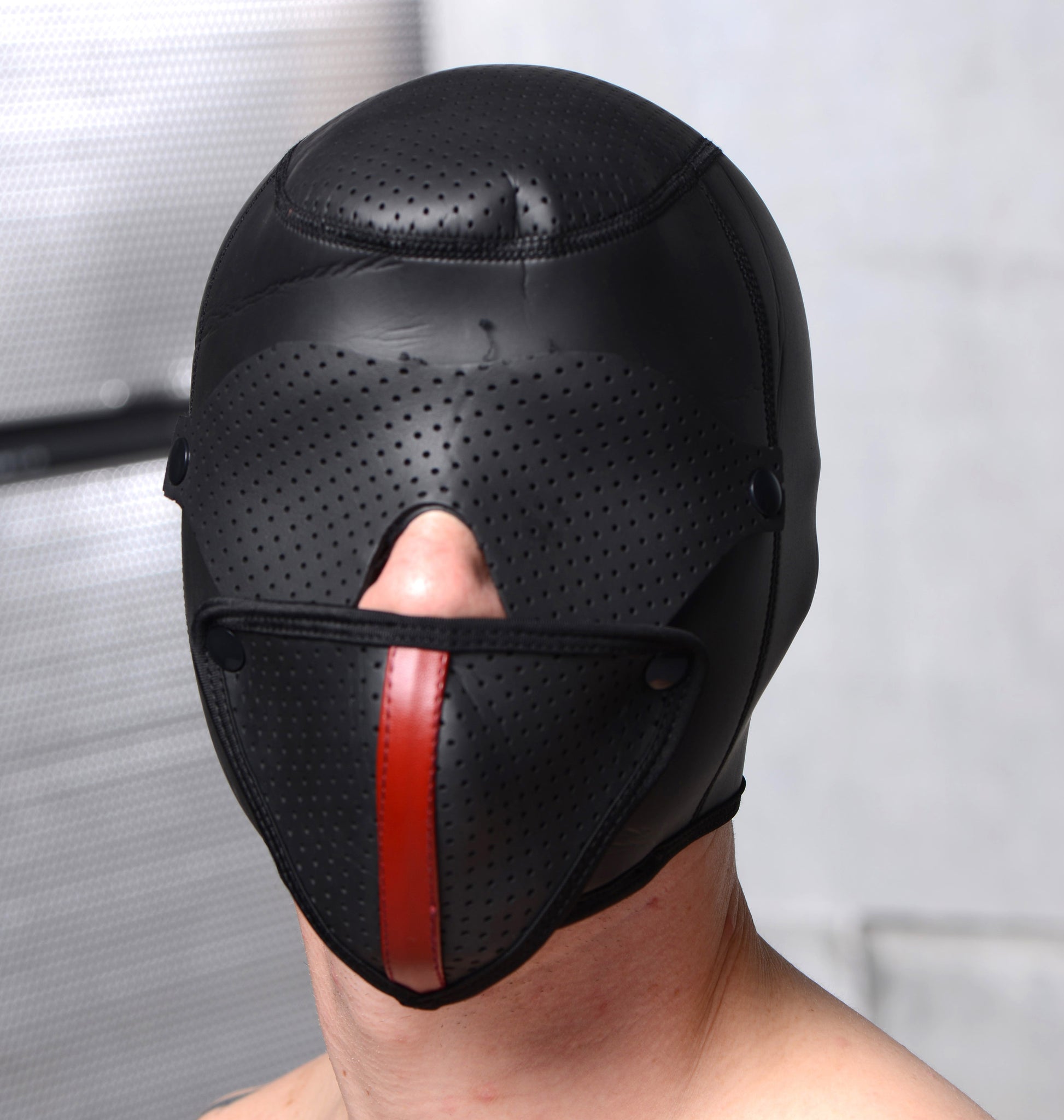 Scorpion Hood With Removable Blindfold and Face Mask - UABDSM