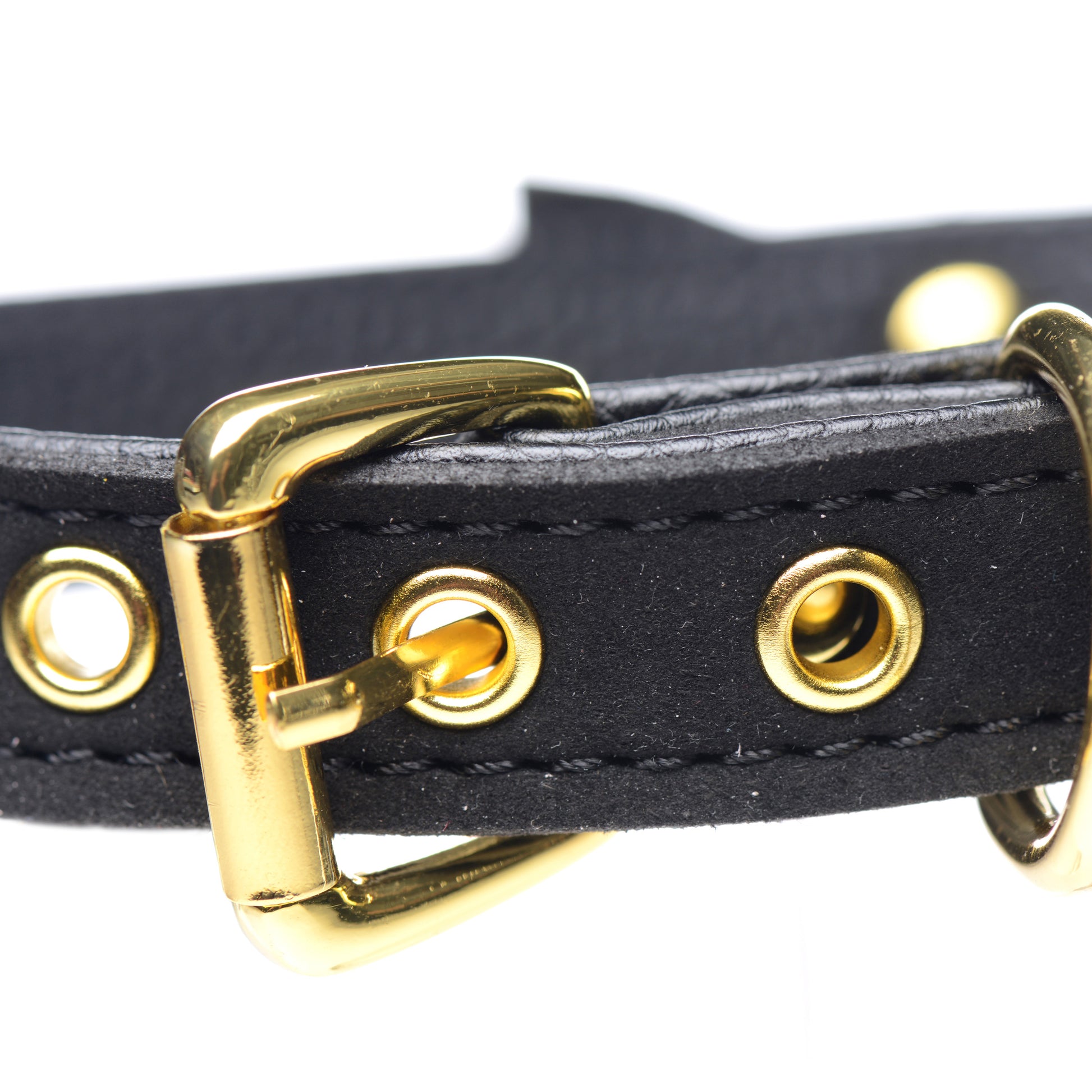 Golden Kitty Cat Bell Collar - Black/Gold - UABDSM