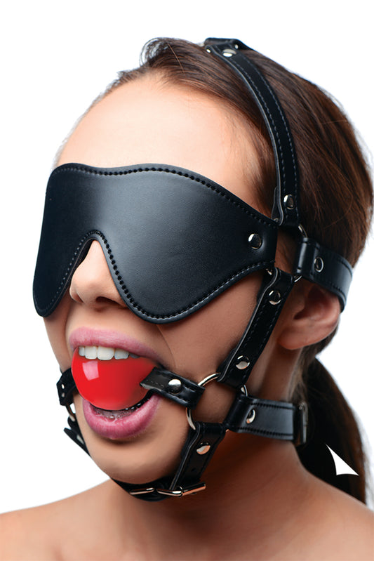 Blindfold Harness and Red Ball Gag - UABDSM
