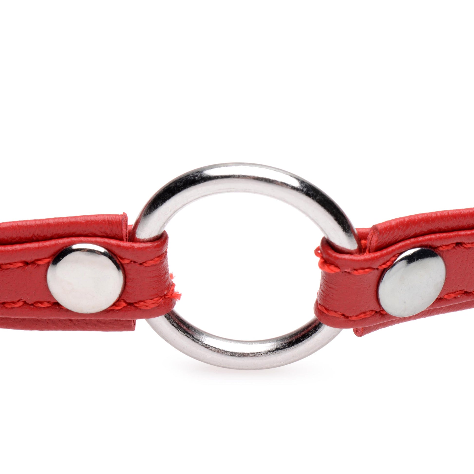 Fiery Pet Leather Choker with Silver Ring - UABDSM