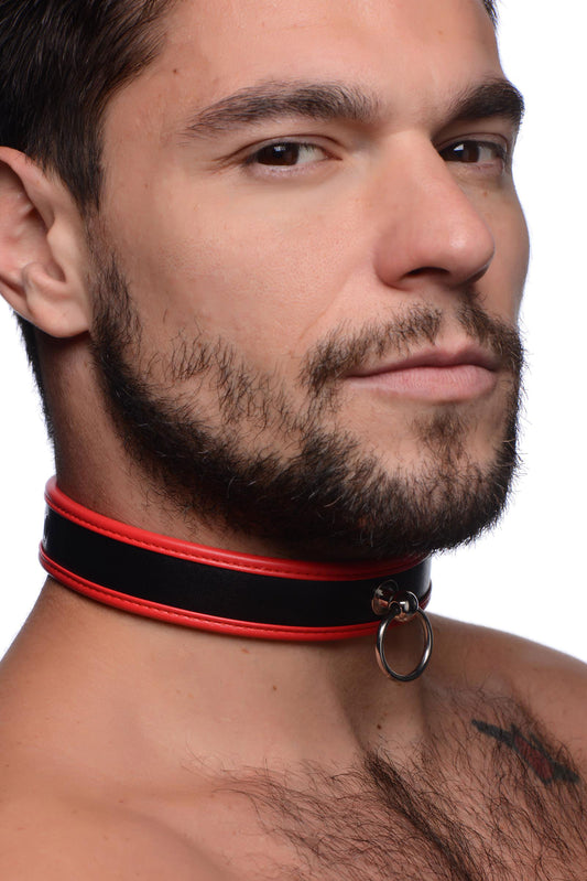Scarlet Pet Red Collar with O-Ring - UABDSM