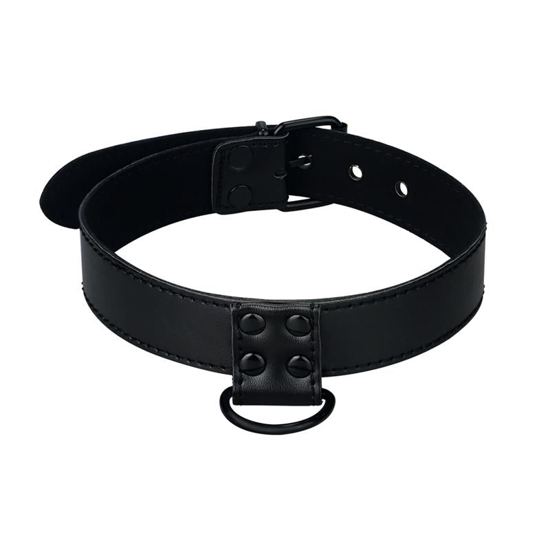 Collar with Leash Black Matt - UABDSM