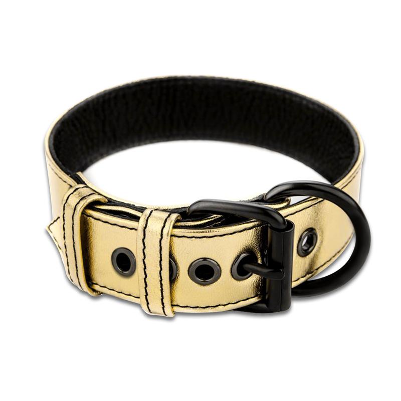 Collar with Leash Bondage Gold - UABDSM