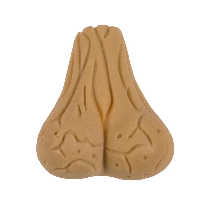 Growing Testicle 4x3 cm  Adult Sex Toys, Intimate Supplies, Sexual  Wellness, Online Sex Store  UABDSM