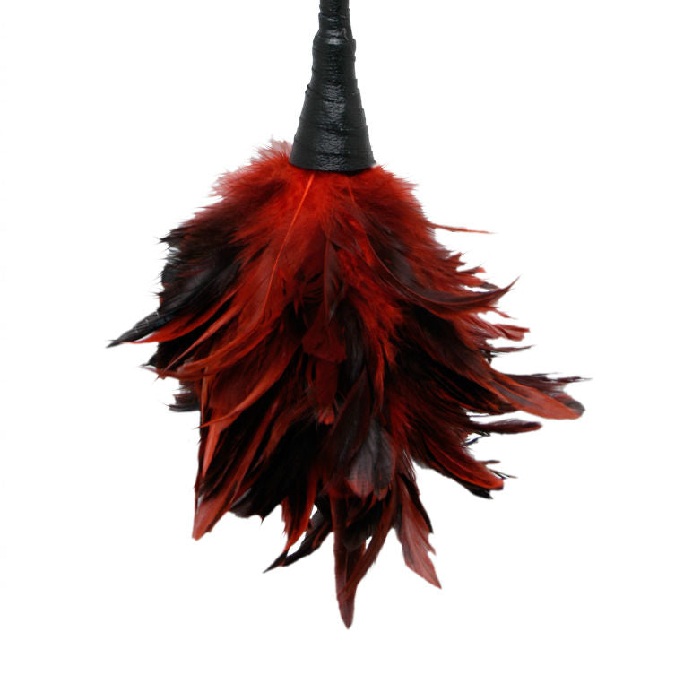 Fetish Fantasy Series Frisky Feather Duster Red - UABDSM