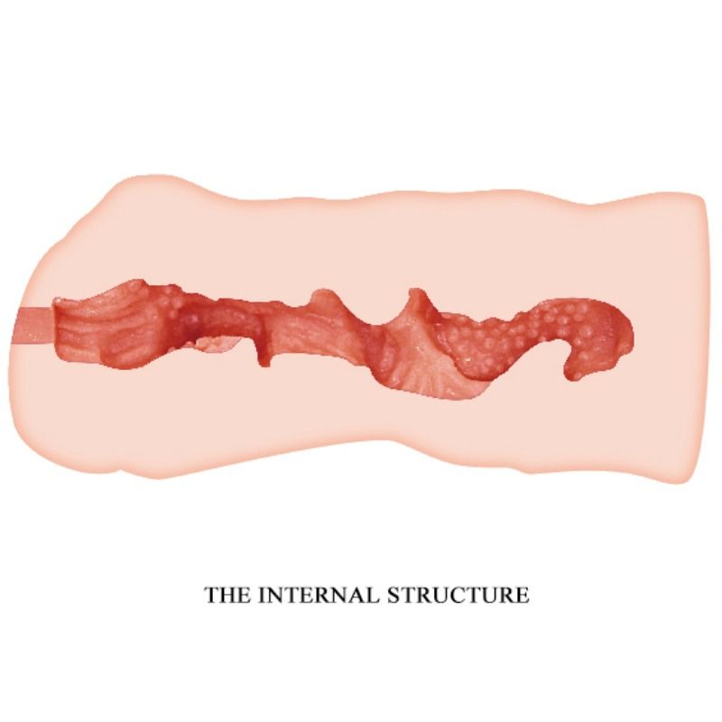 Crazy Bull - Linda Vagina Masturbator 13.7 Cm - UABDSM