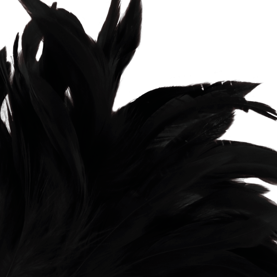 Darkness Black Feather  Lux - UABDSM