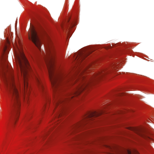 Darkness Red Feather  24cm - UABDSM