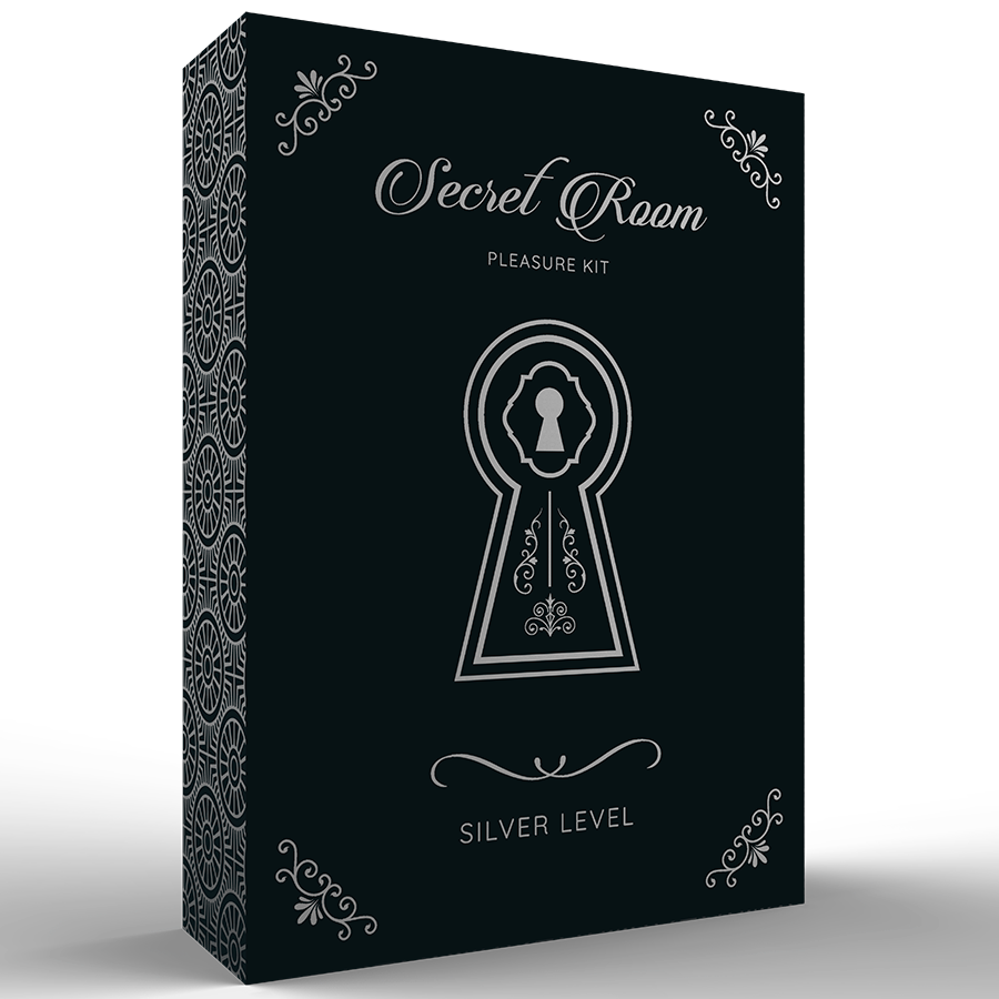Secretroom Pleasure Kit Silver Level 1 - UABDSM