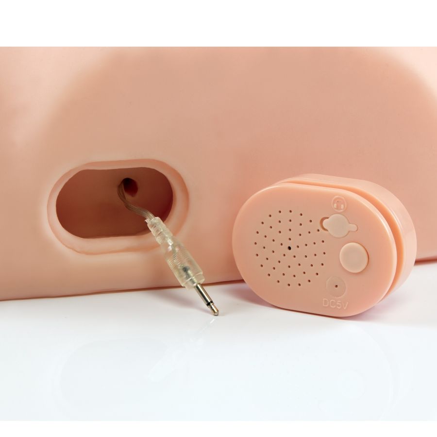 Pdx Male Interactive Fuck Him Silly Masturbador - UABDSM