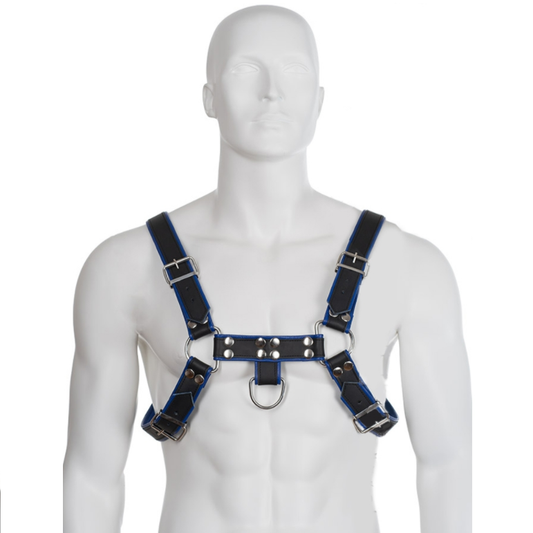 Leather Body Chest Bulldog Harness Black/blue Leather - UABDSM