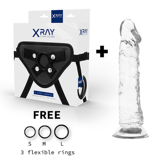 Xray Harness + Clear Cock  21 Cm X 4 Cm - UABDSM