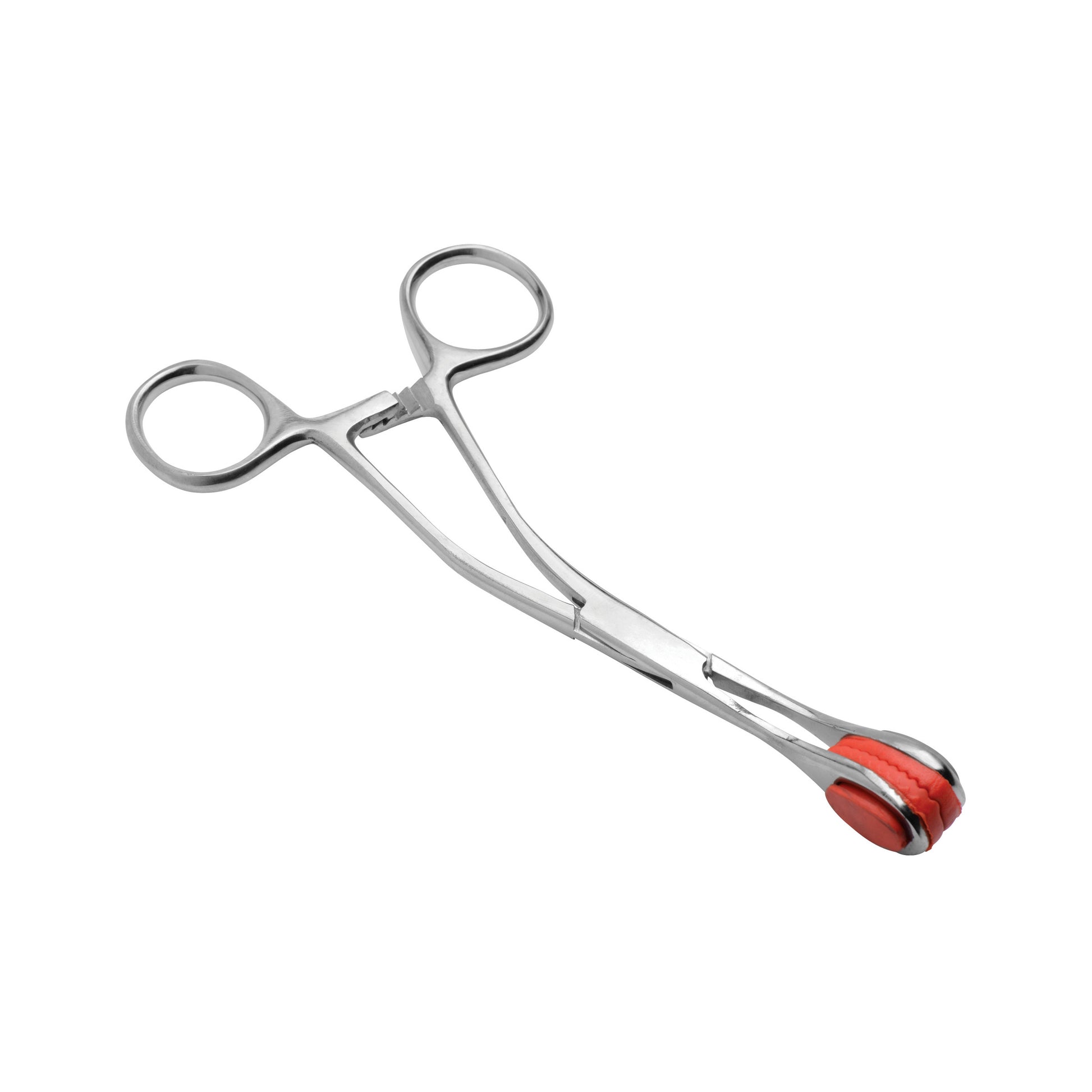 Isabellas Stainless Steel Forceps - UABDSM