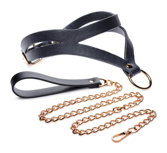Black and Gold Collar with Leash Kit - UABDSM