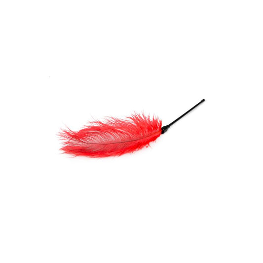 Red Feather Tickler - UABDSM