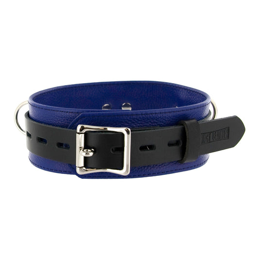 Strict Leather Deluxe Locking Collar - Blue and Black - UABDSM