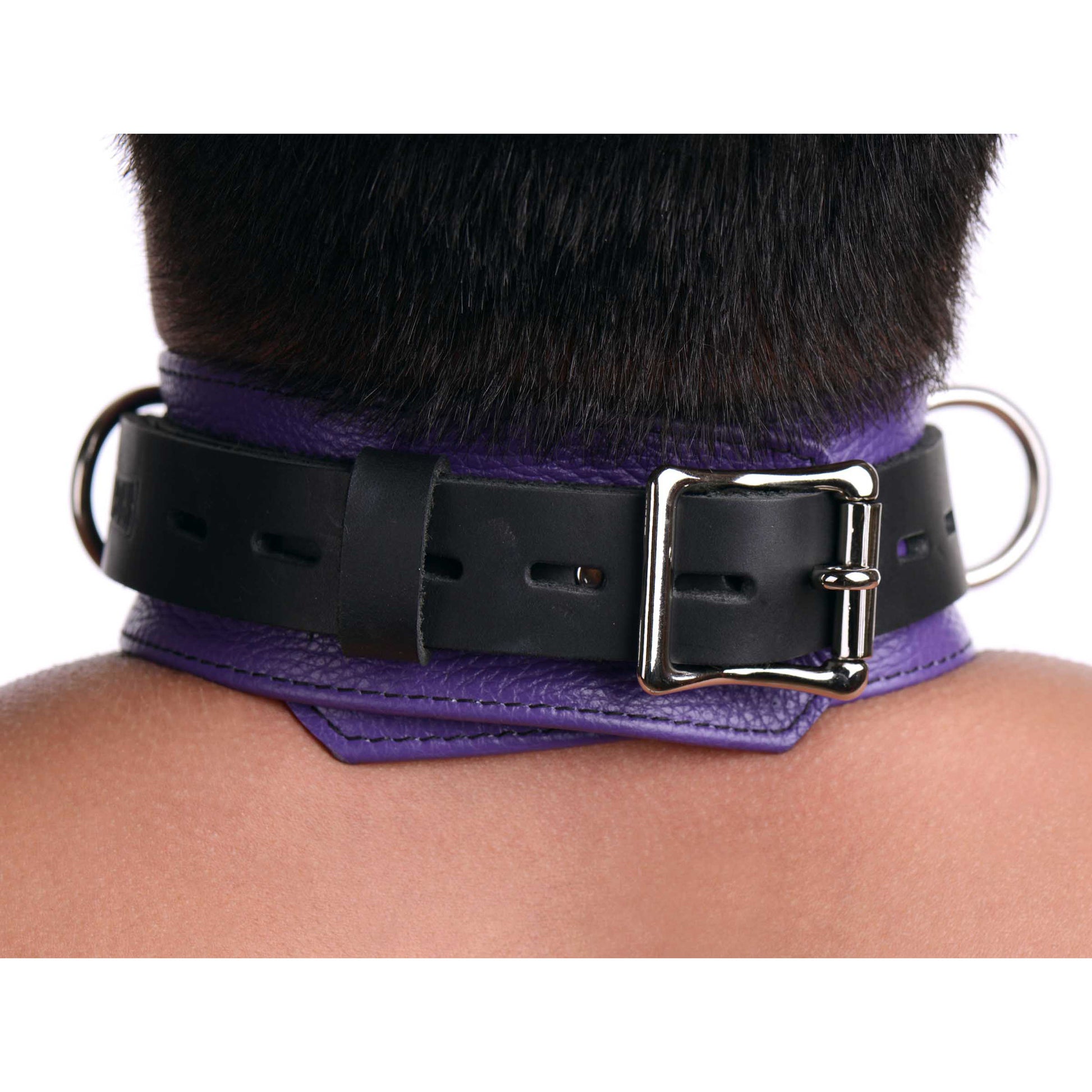 Strict Leather Deluxe Locking Collar - Purple and Black - UABDSM