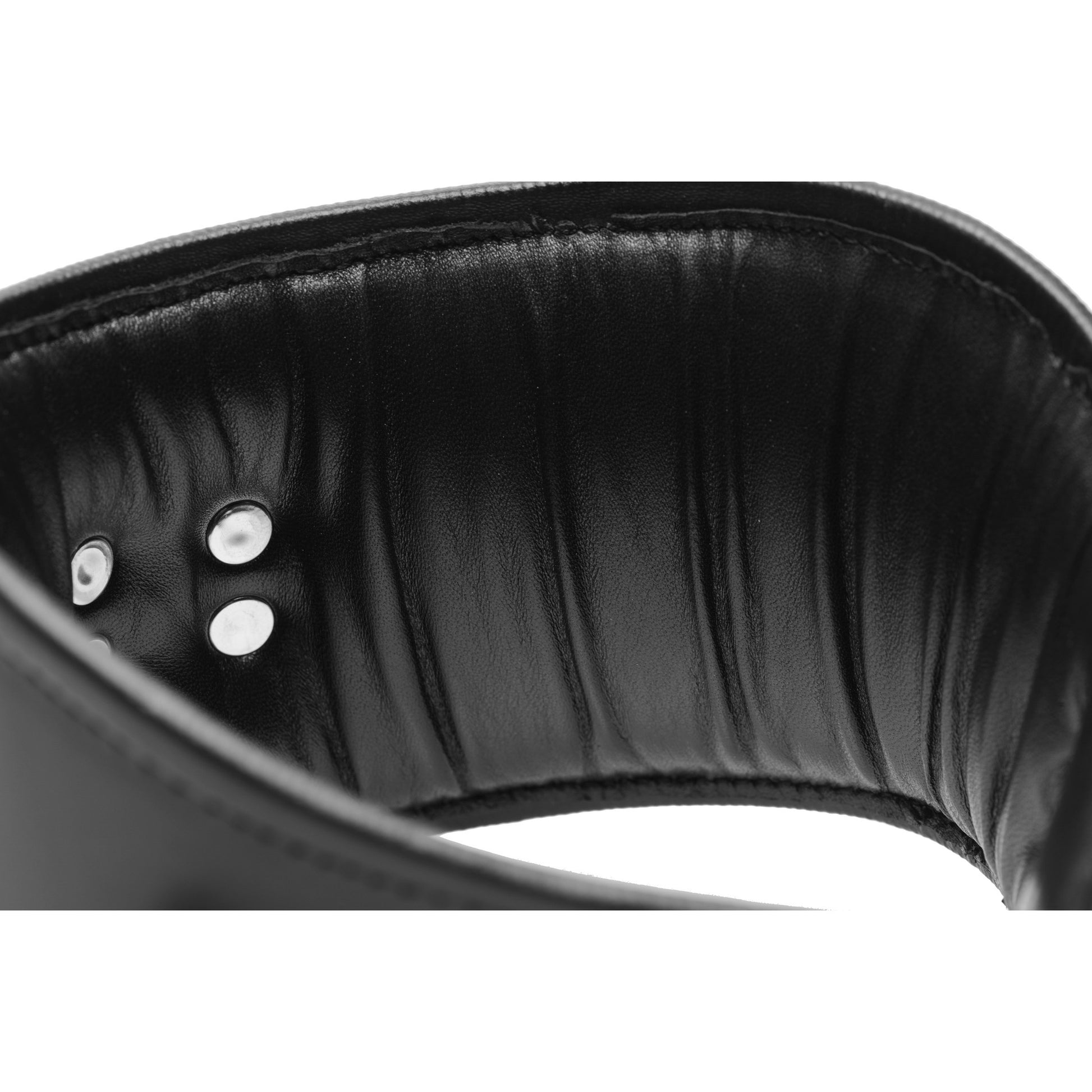 Padded Leather Locking Posture Collar - UABDSM