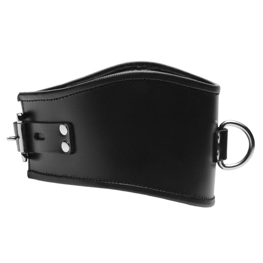 Padded Leather Locking Posture Collar - UABDSM