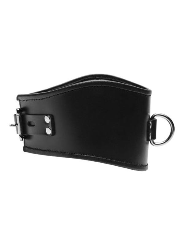 Padded Leather Locking Posture Collar - UABDSM